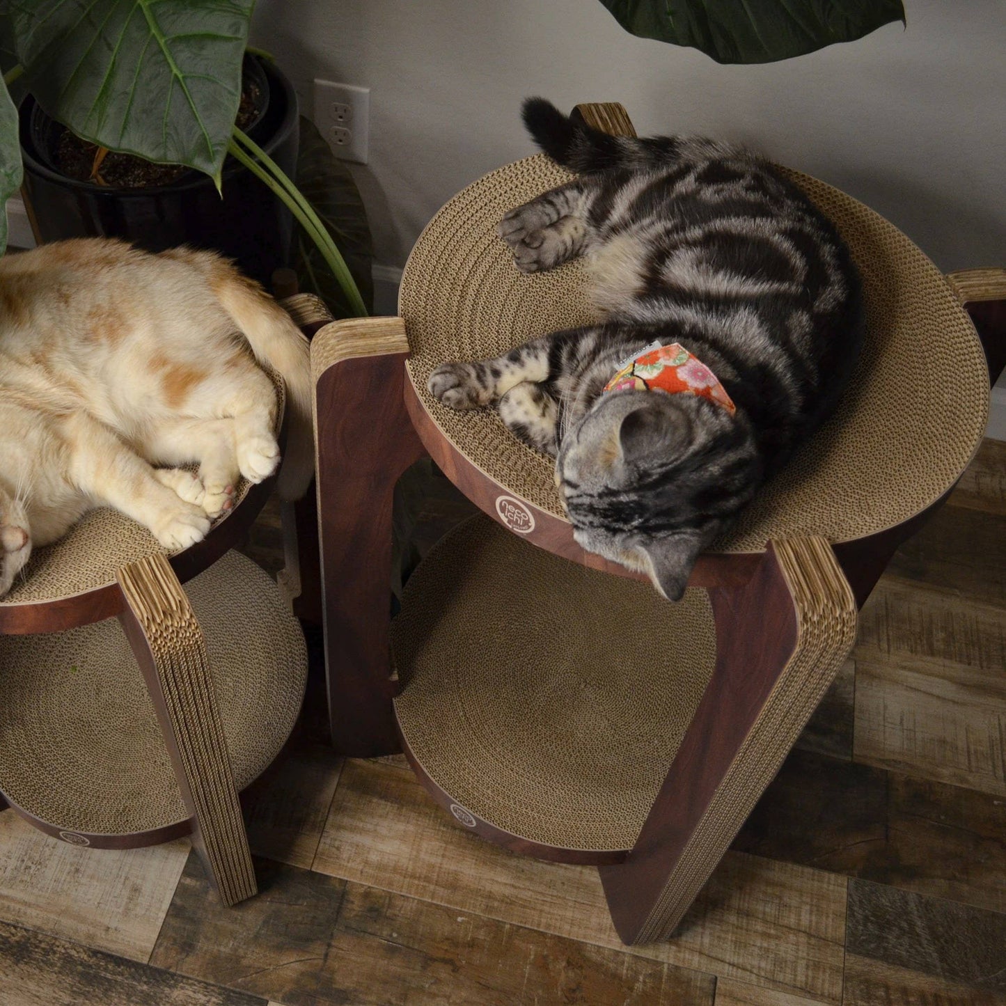 Cozy Cat Scratcher Tower