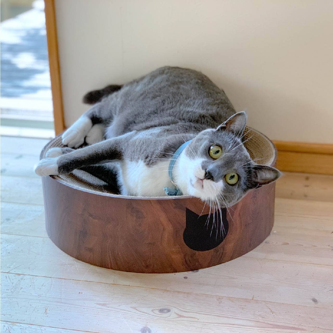 Cozy Cat Scratcher Bowl