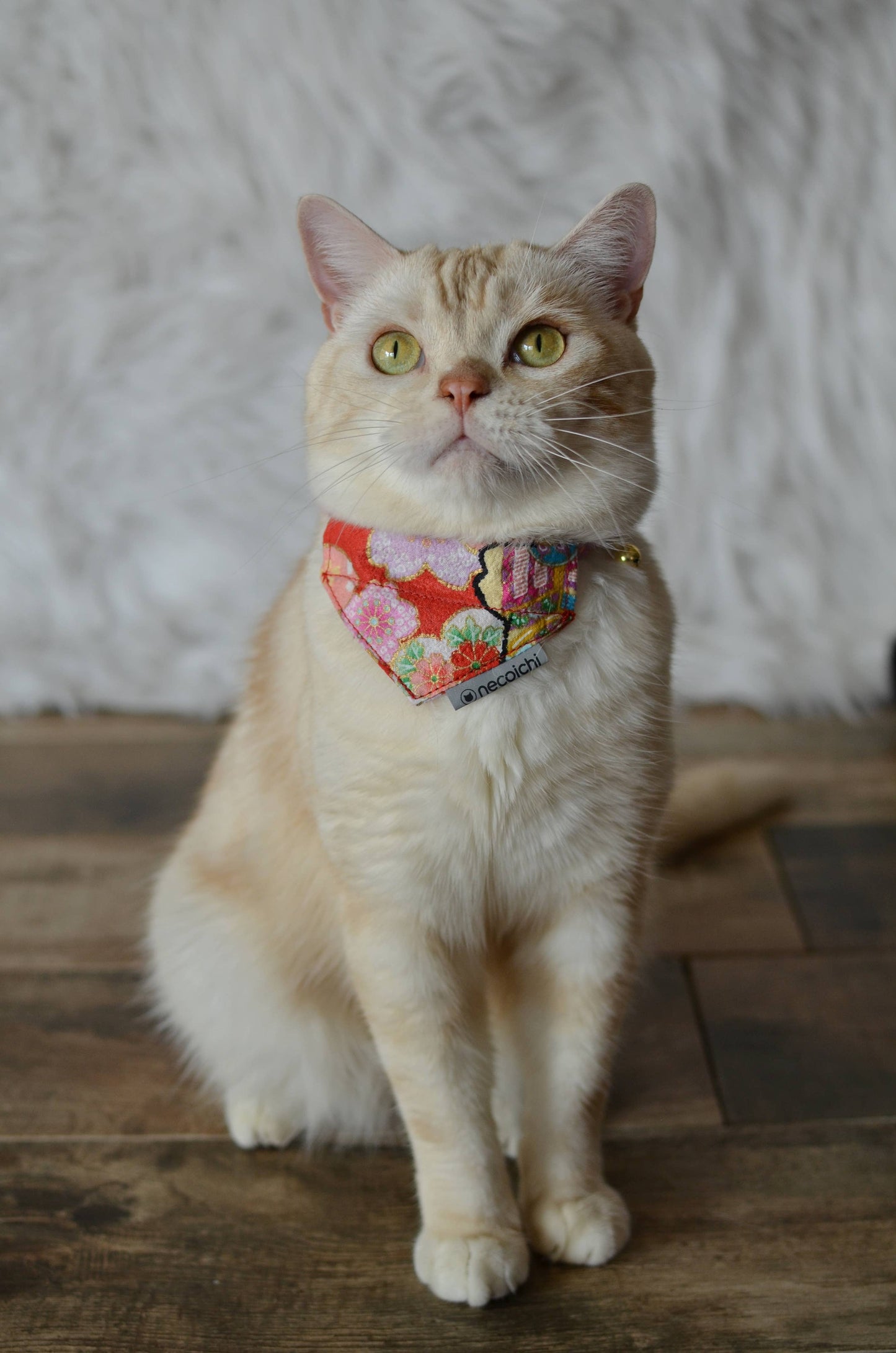 Bandana Cat Collar With Air Tag Pocket - Blossom Red
