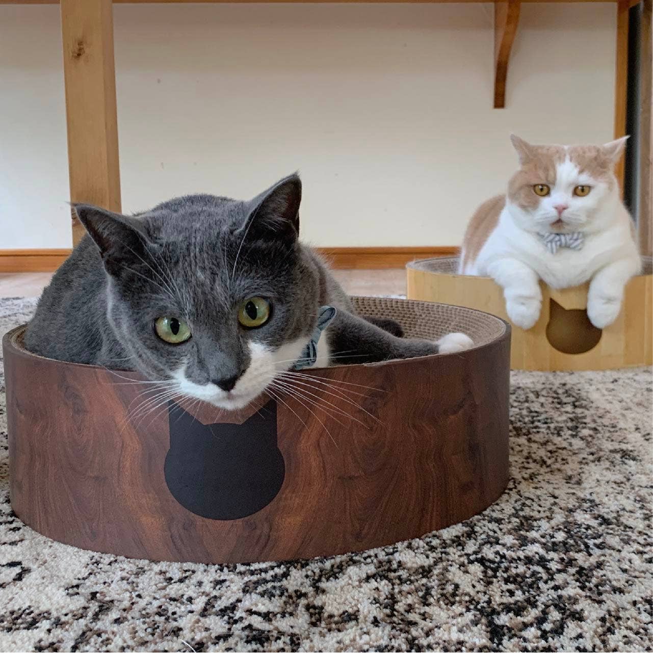 Cozy Cat Scratcher Bowl