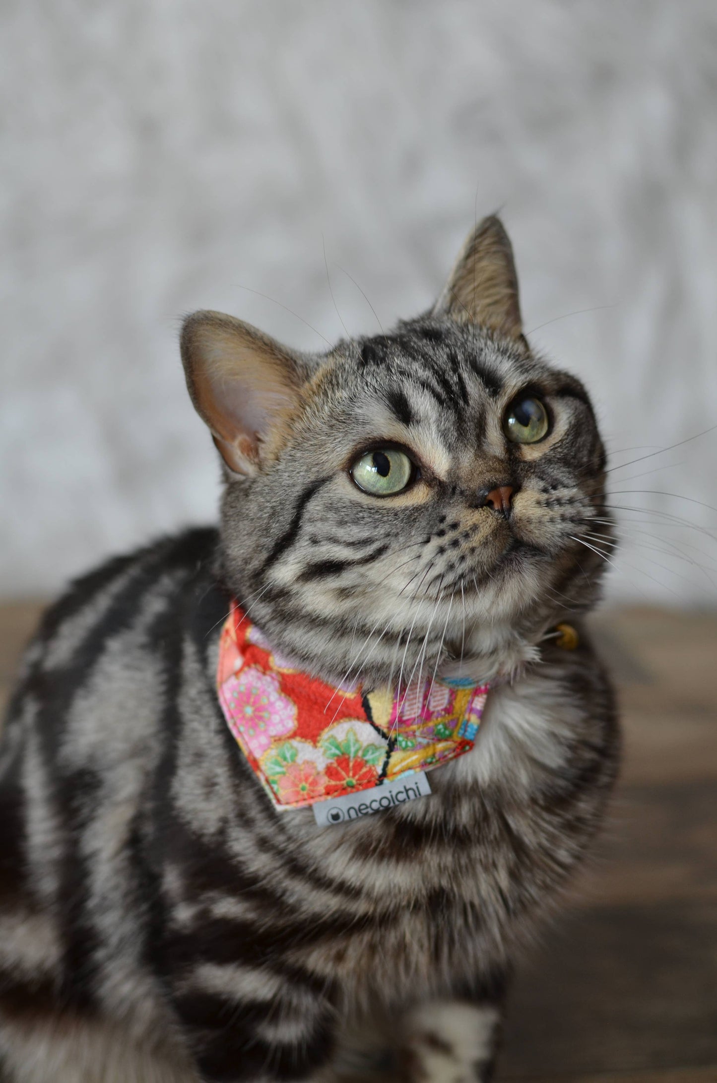 Bandana Cat Collar With Air Tag Pocket - Blossom Red
