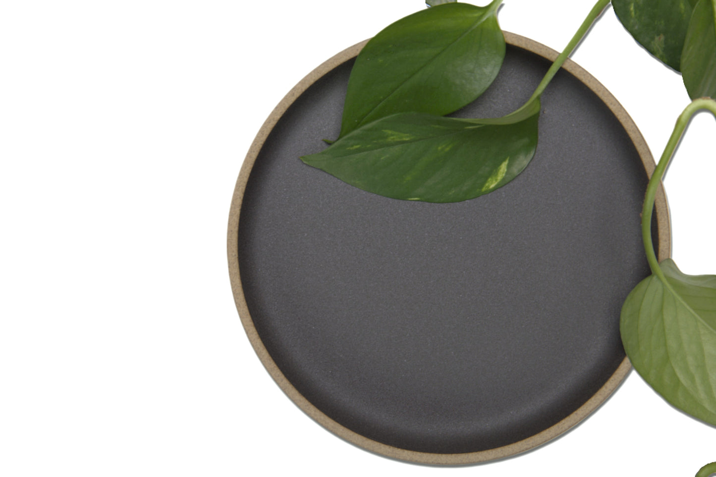 Large Hasami Porcelain Planter Set
