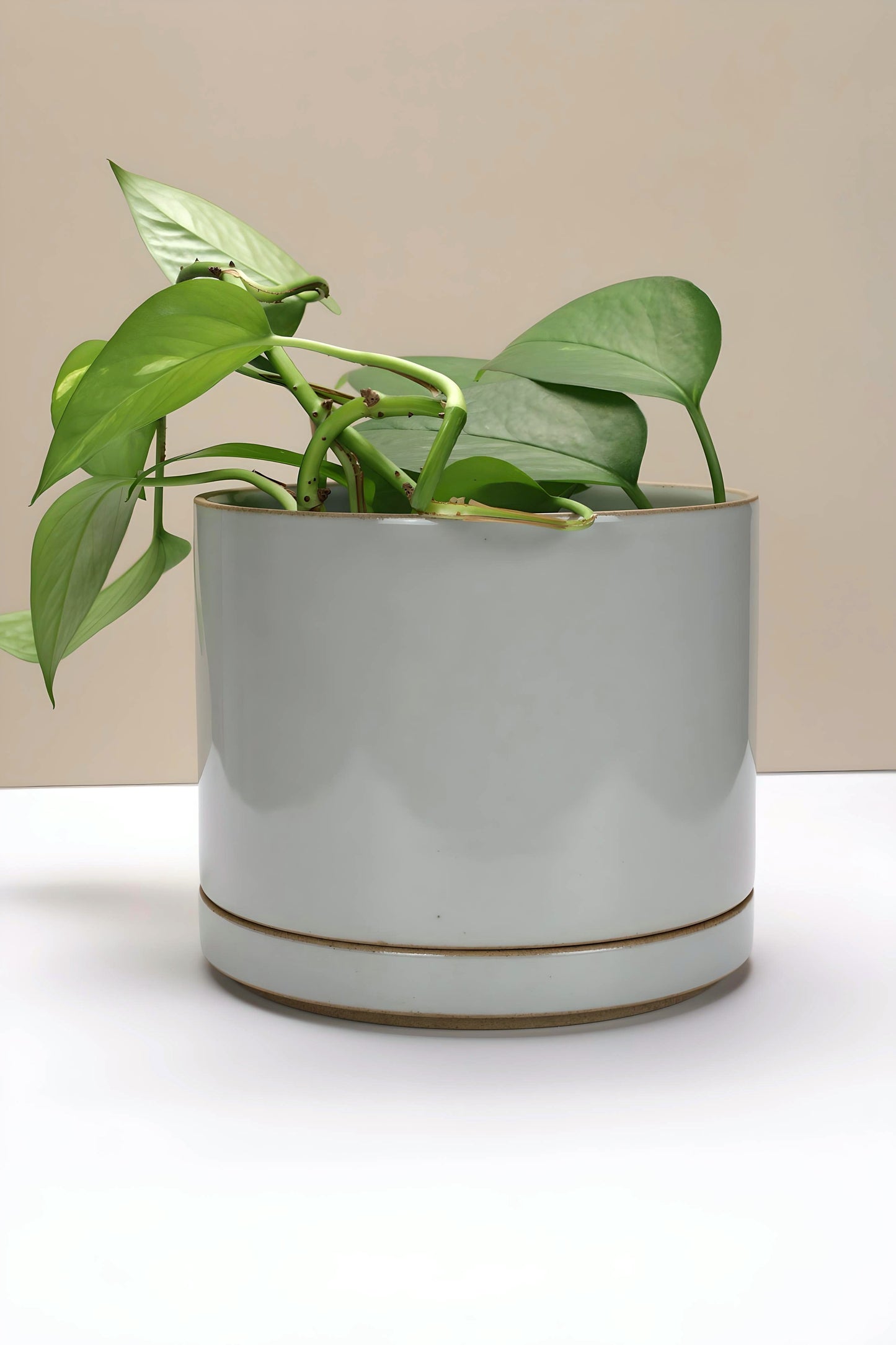 Large Hasami Porcelain Planter Set