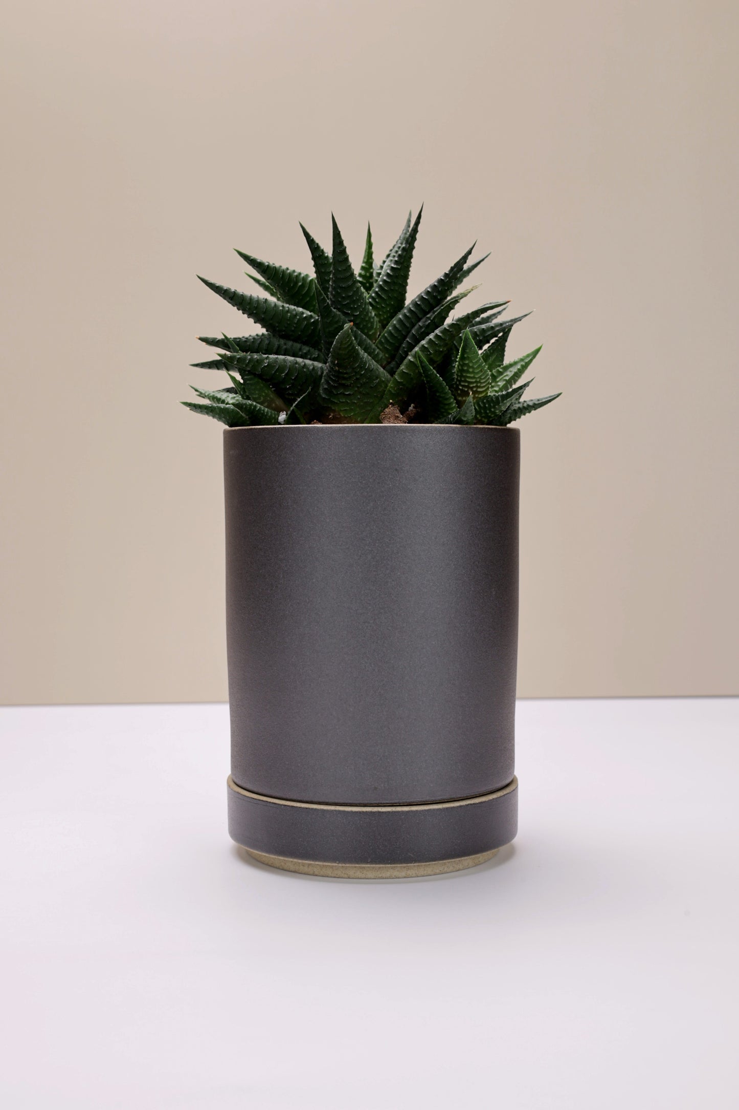 Small Hasami Porcelain Planter Set