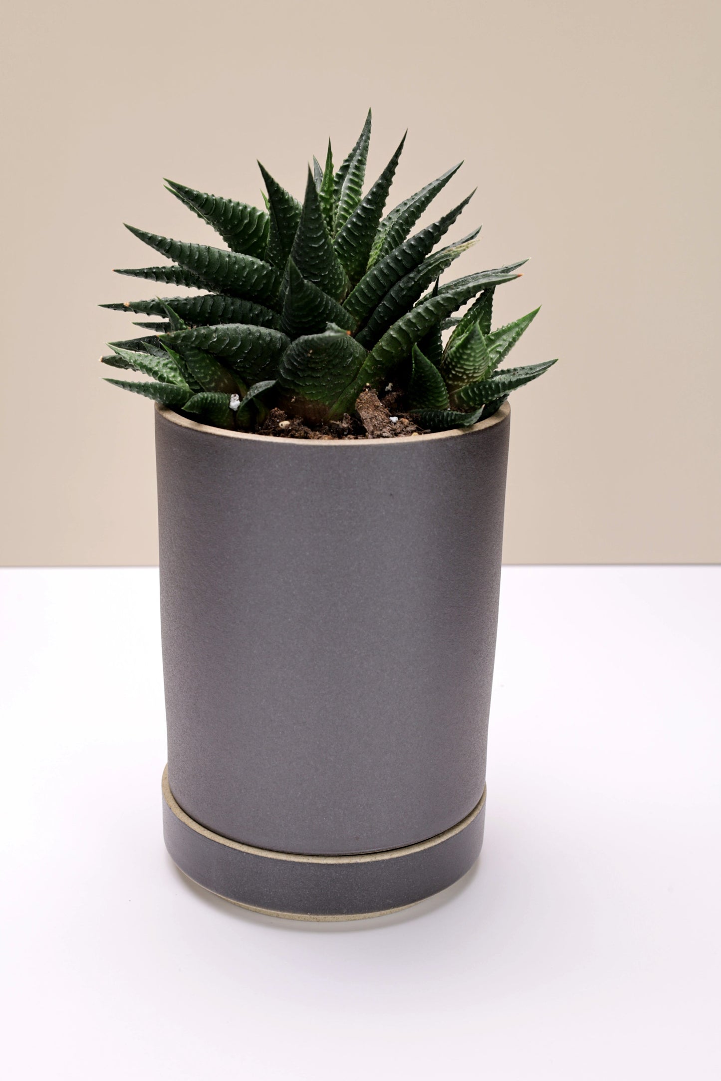 Small Hasami Porcelain Planter Set