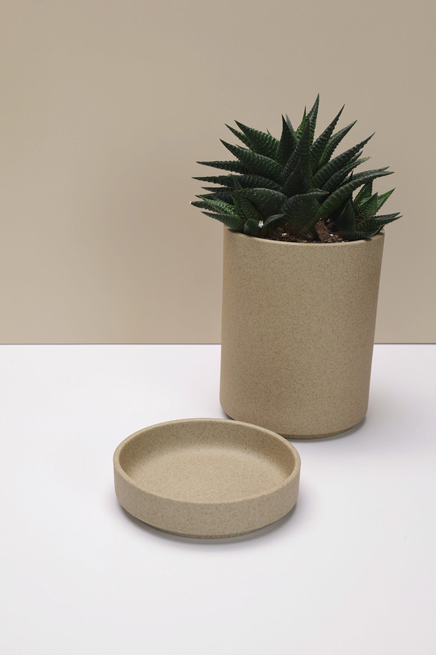 Small Hasami Porcelain Planter Set