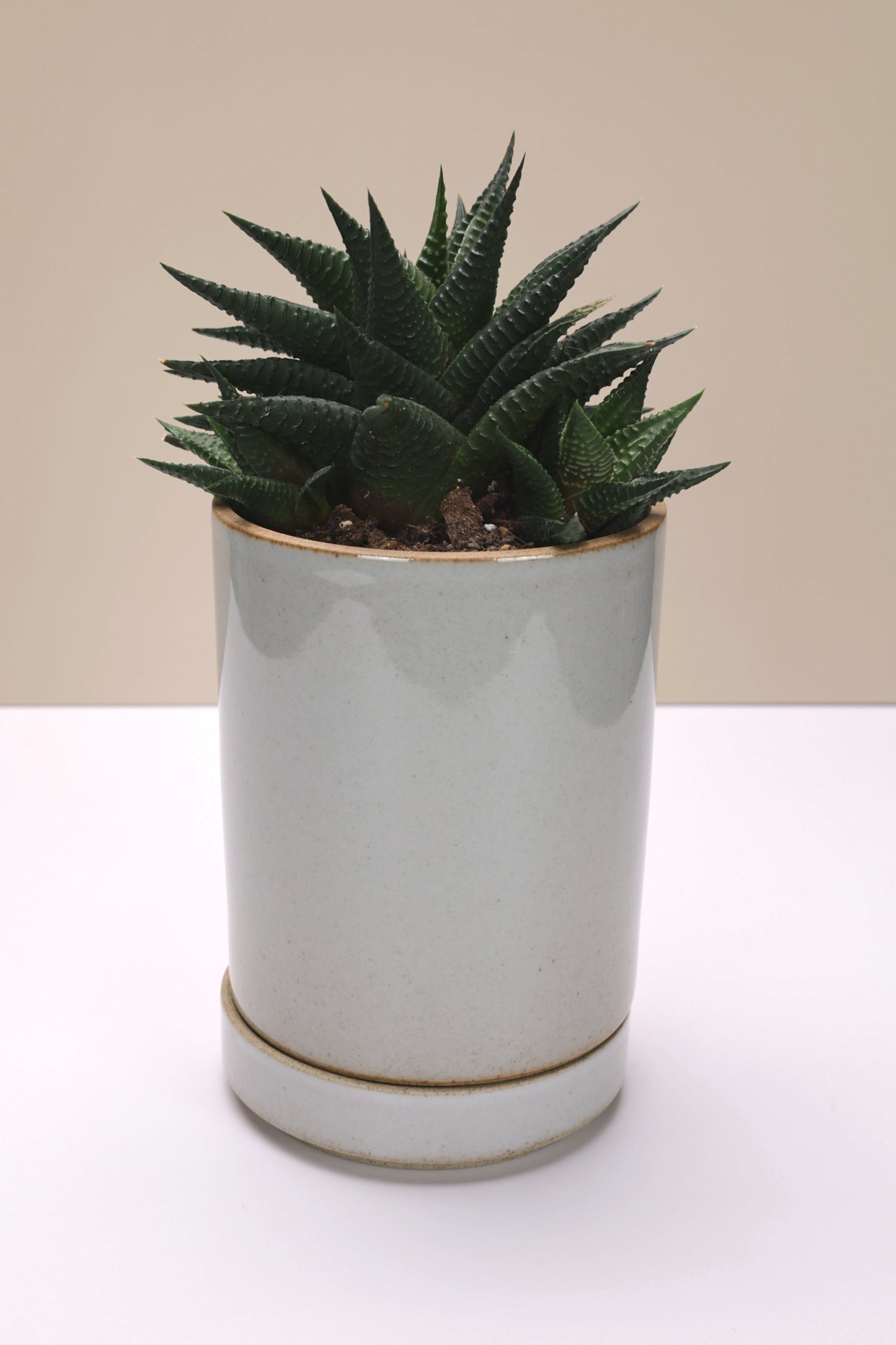 Small Hasami Porcelain Planter Set