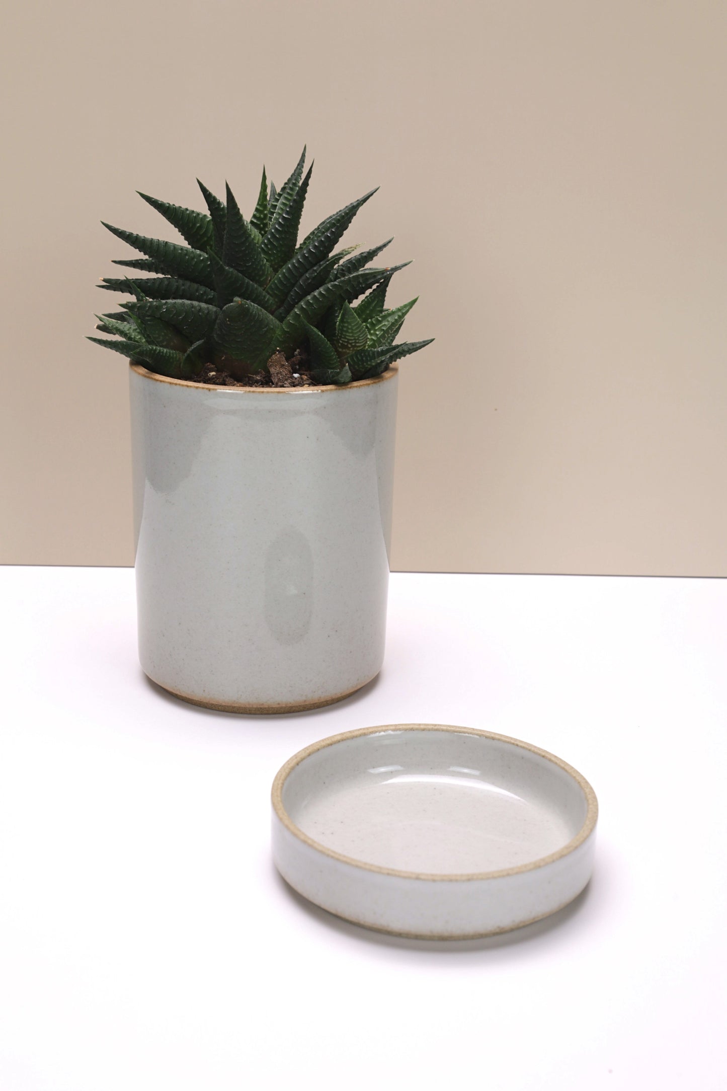 Small Hasami Porcelain Planter Set