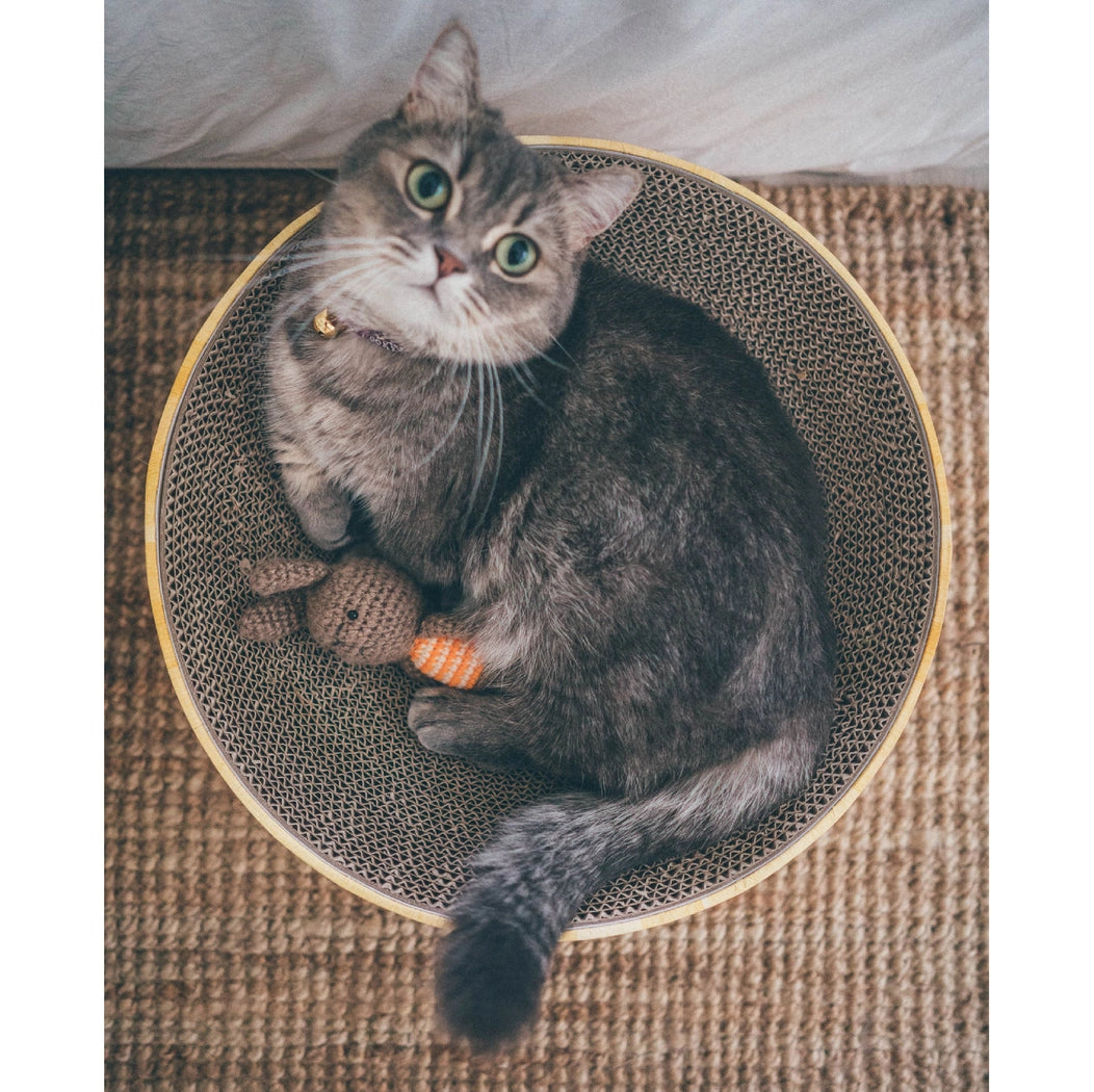 Cozy Cat Scratcher Bowl