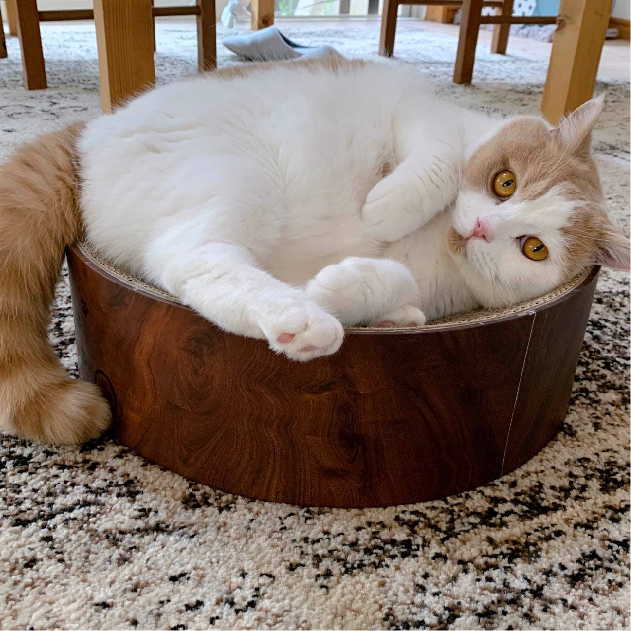 Cozy Cat Scratcher Bowl