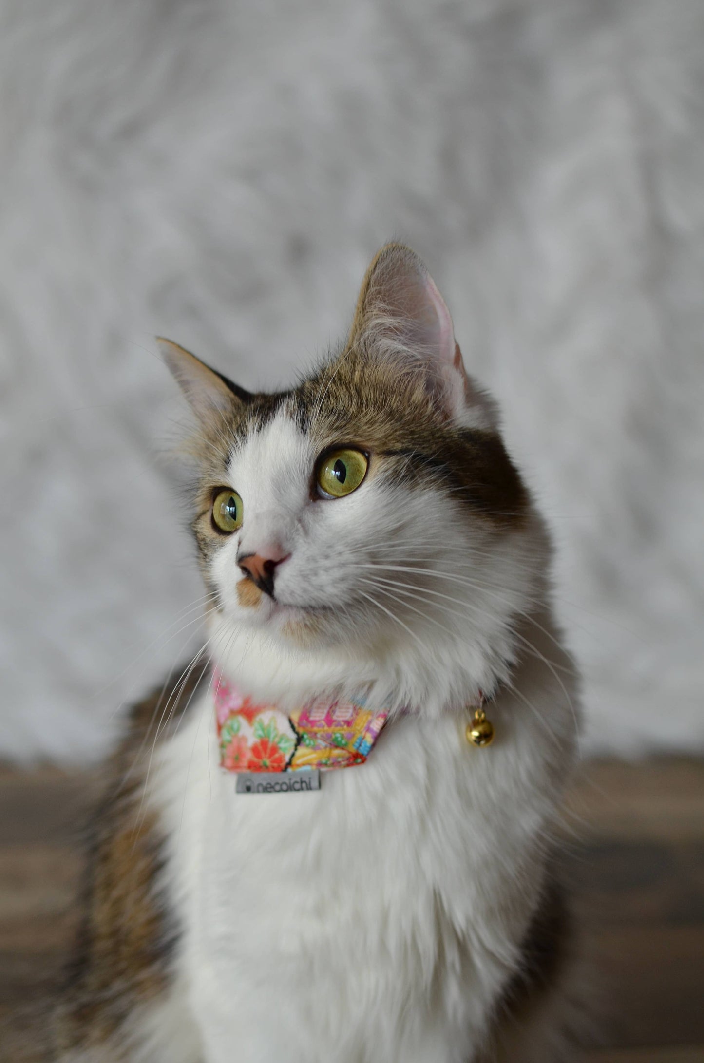 Bandana Cat Collar With Air Tag Pocket - Blossom Red