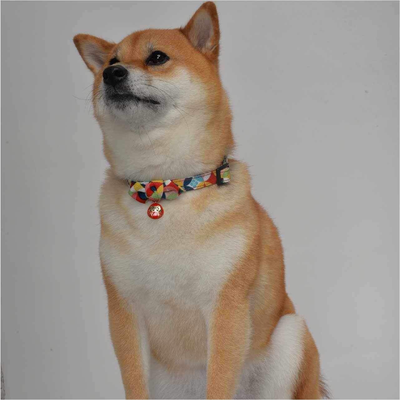 Daruma Charm Bow Tie Collar