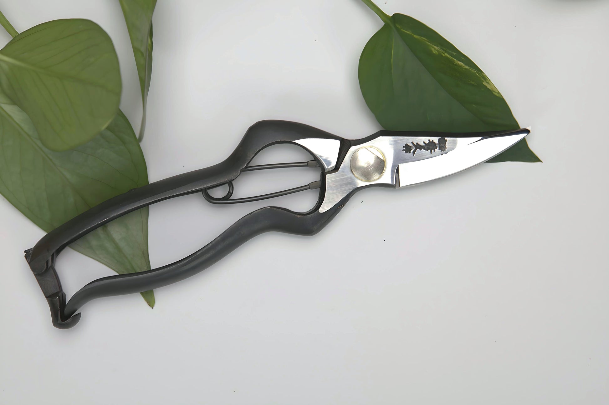 sentei garden scissors Sentei Garden Scissors