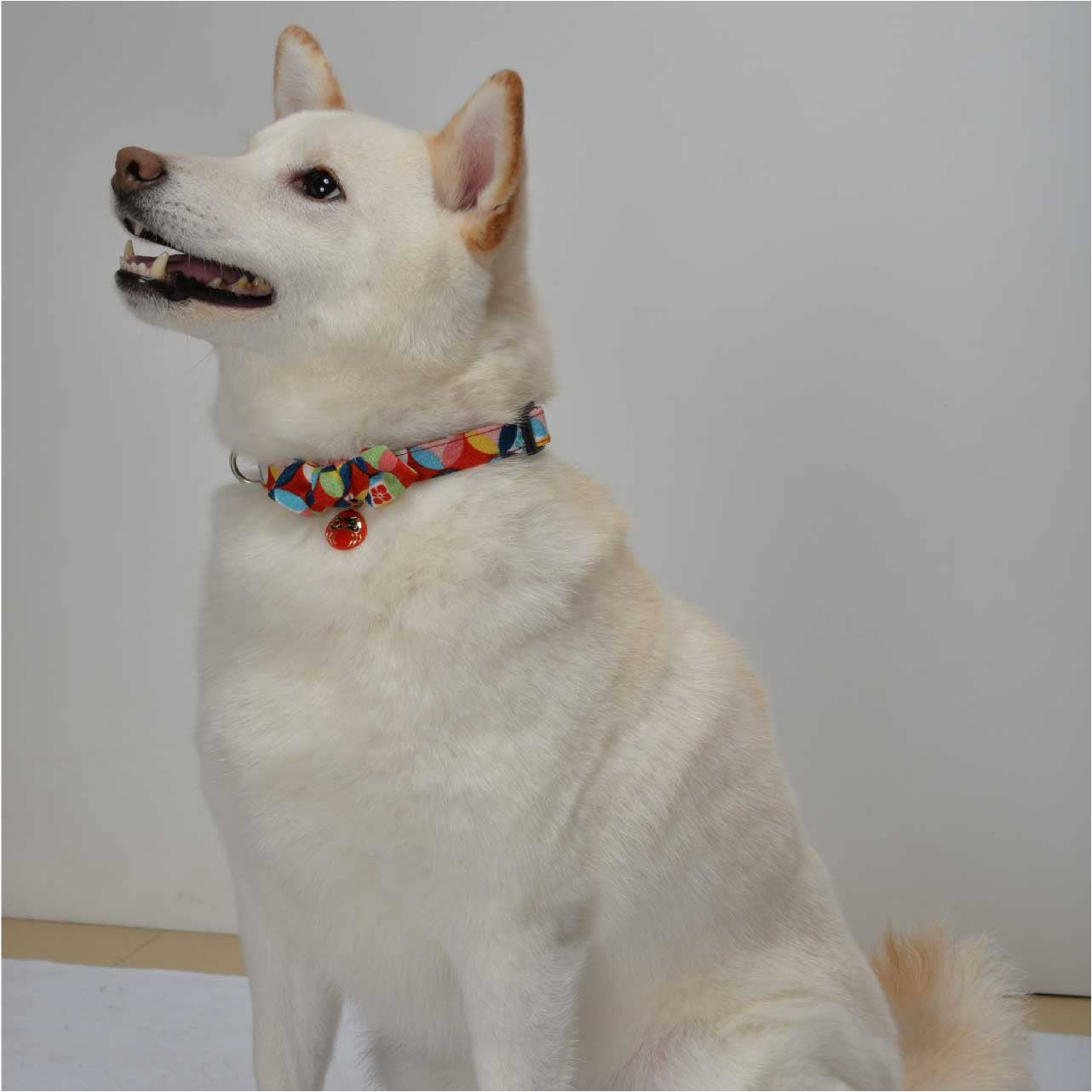 Daruma Charm Bow Tie Collar